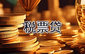 平凉税票贷
